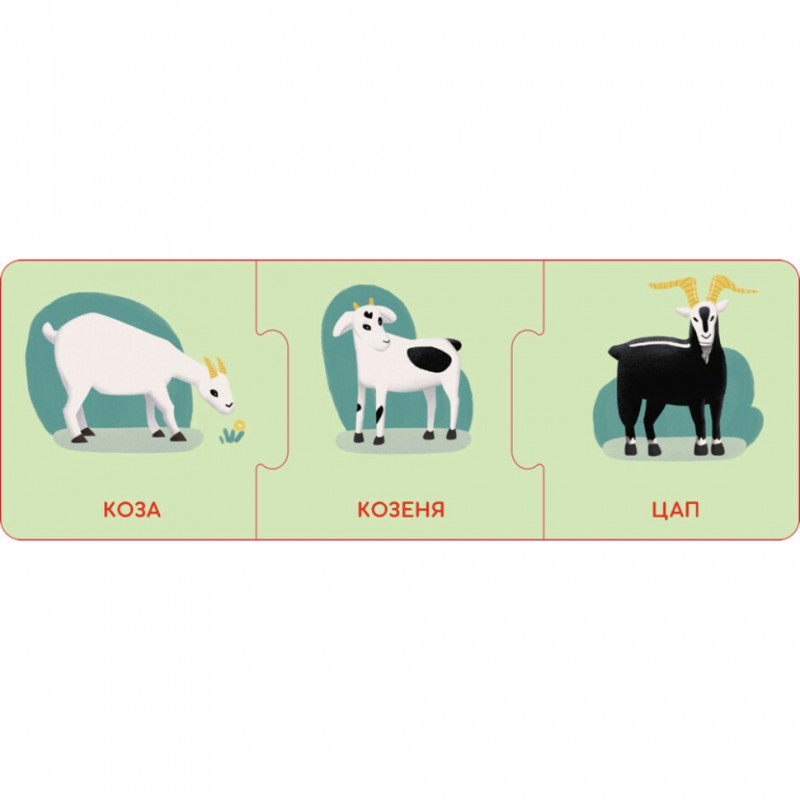 Логические цепочки "Малыши животные и их семьи" 1782001 на украинском языке