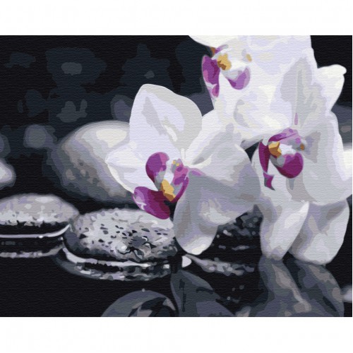 Картина по номерам "Цветы дзена" Brushme BS21140 40х50 см