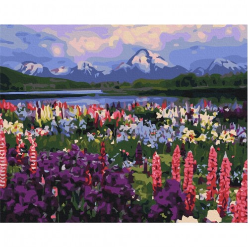 Картина по номерам "Долина полевых цветов" BS21019, 40х50 см