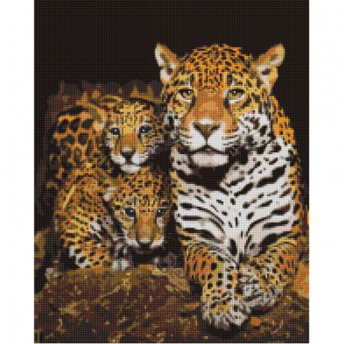 Алмазная мозаика "Ночные леопарды" DBS1085 Brushme 40х50 см