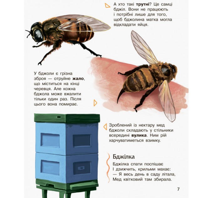 Детская энциклопедия про насекомых 614014 для дошкольников