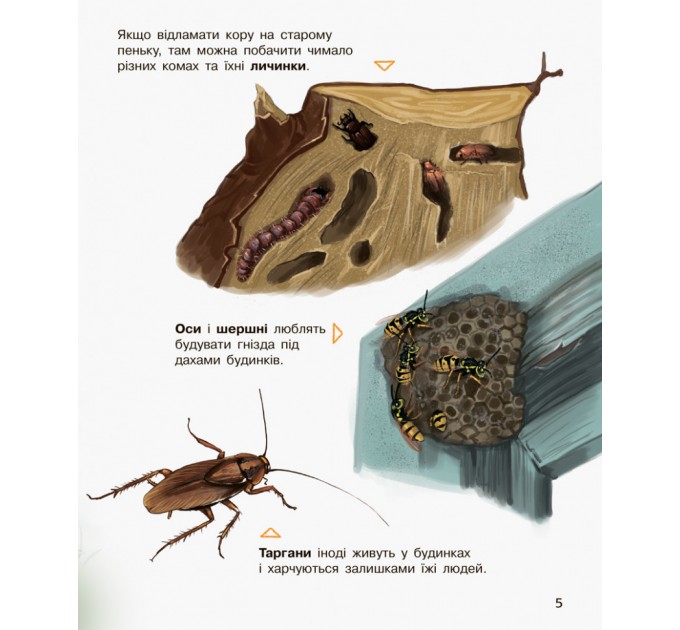 Детская энциклопедия про насекомых 614014 для дошкольников