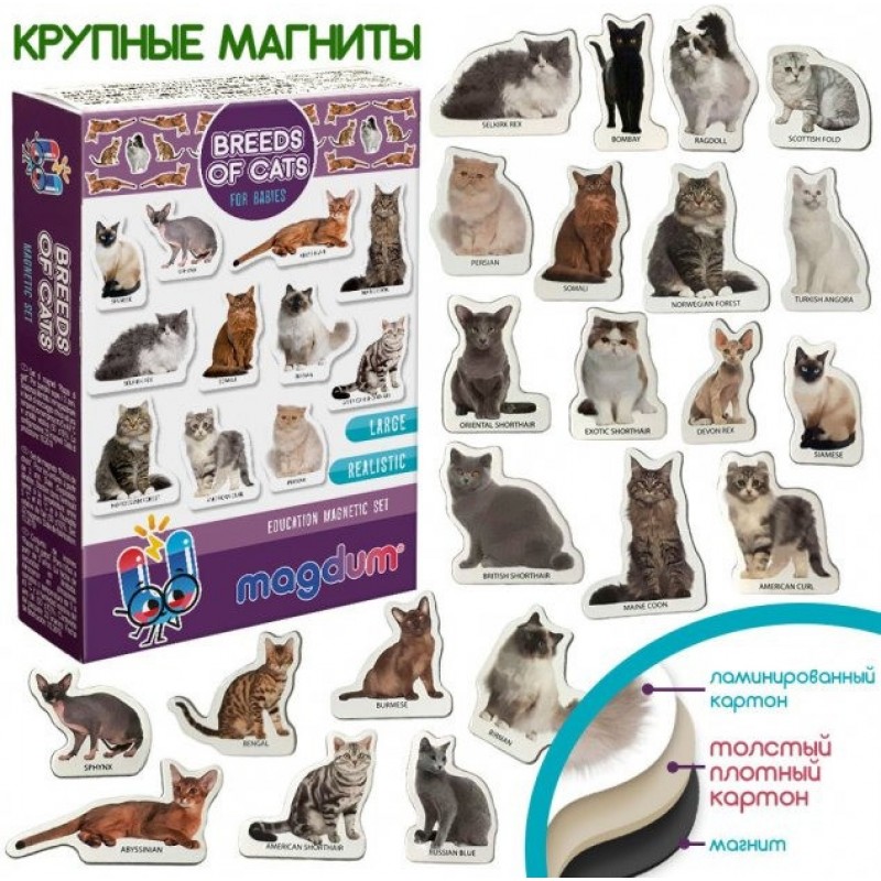 Набор магнитов Magdum "Породы кошек" ML4031-13 EN