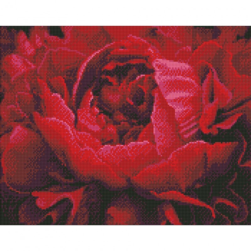 Алмазная мозаика "Изысканный цветок" Идейка AMO7387 40х50 см