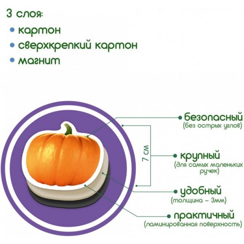 Набор магнитов Magdum "Фрукты и овощи" ML4031-15 EN