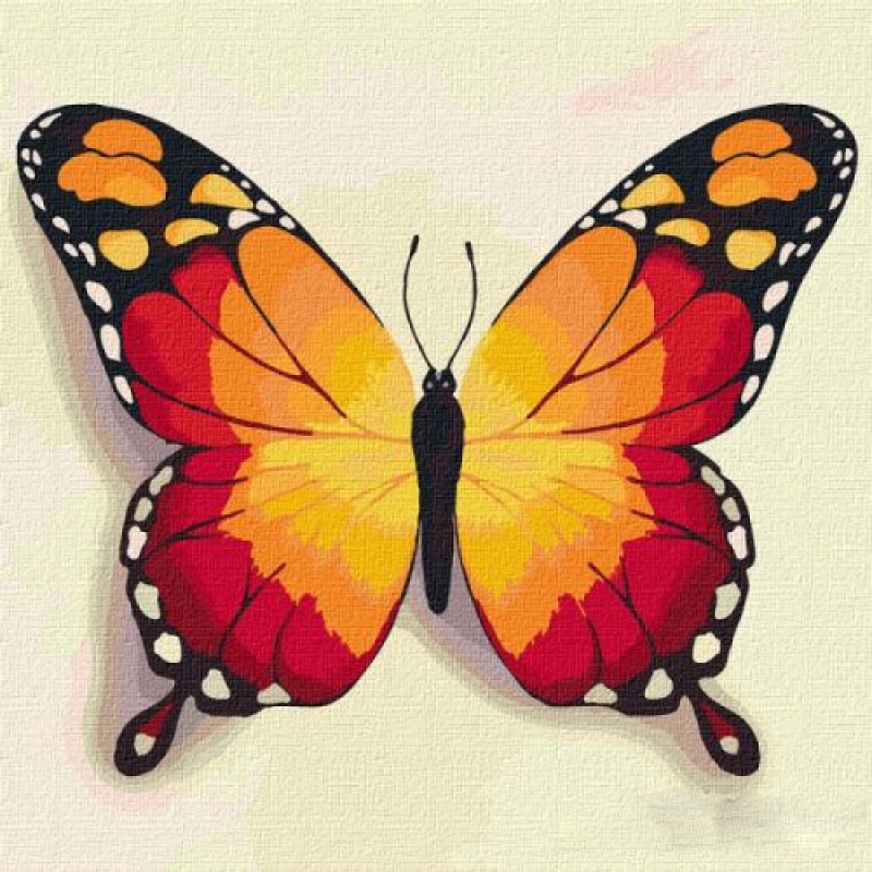 Картина по номерам "Оранжевая бабочка" ★★★