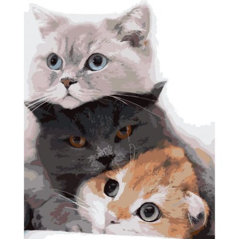 Картина по номерах 0182 ОРТ кол. Історія трьох котиків 40*50 (222587)