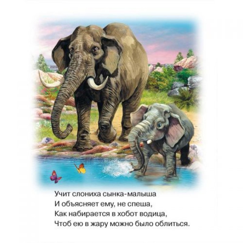 Книга о животных "Прогулка по зоопарку", рус 99002