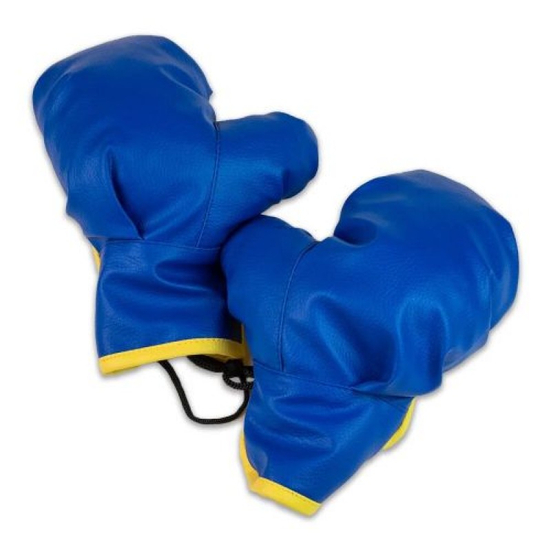 Боксерські рукавички Ukraine, дитячі, 10-14 років Комбінований Блакитний (225622)
