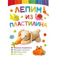 [F00028332] Книга "Лепим из пластилина. Зайчик"