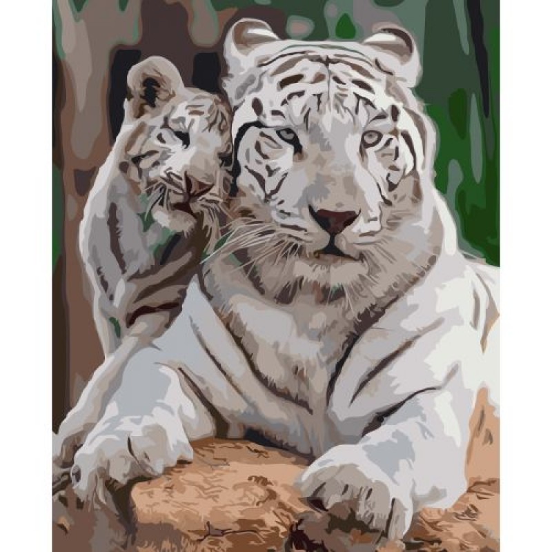 Картина по номерах 0007 ОРТ кол. Сім "я білих тигрів 40*50 (183246)