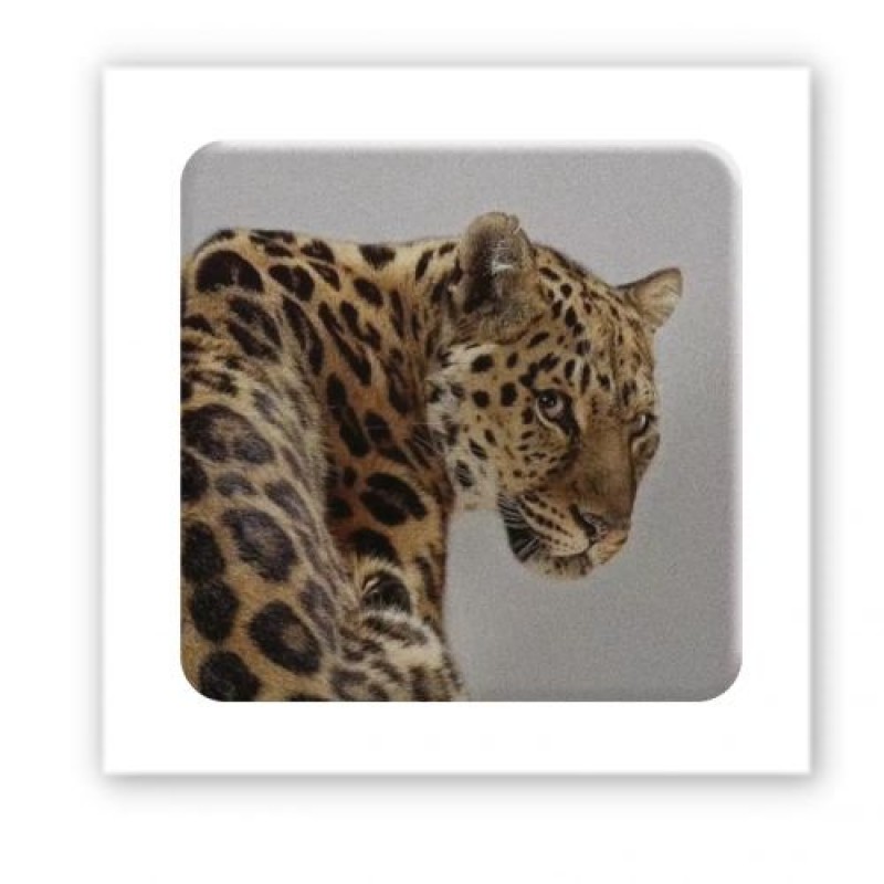 3D стікер "Wild cat" (ціна за 1 шт) Комбінований Різнобарв'я (238063)