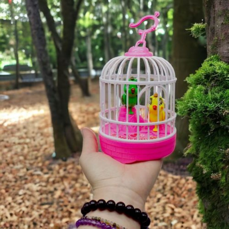 Іграшка на батарейках "Пташки в клітці" (рожевий), вид 1 Пластик Різнобарв'я (237991)