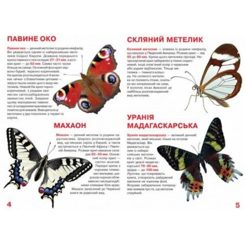 Книга "Большая книга. Бабочки" (укр) F00019393