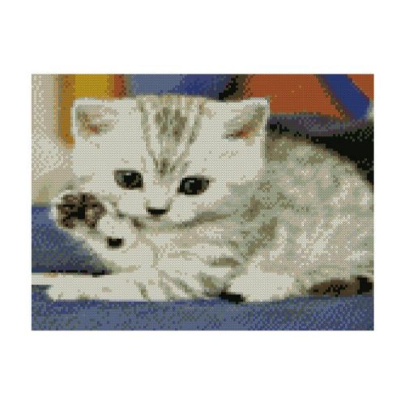 Алмазная мозаика "Маленький котёнок" HX340