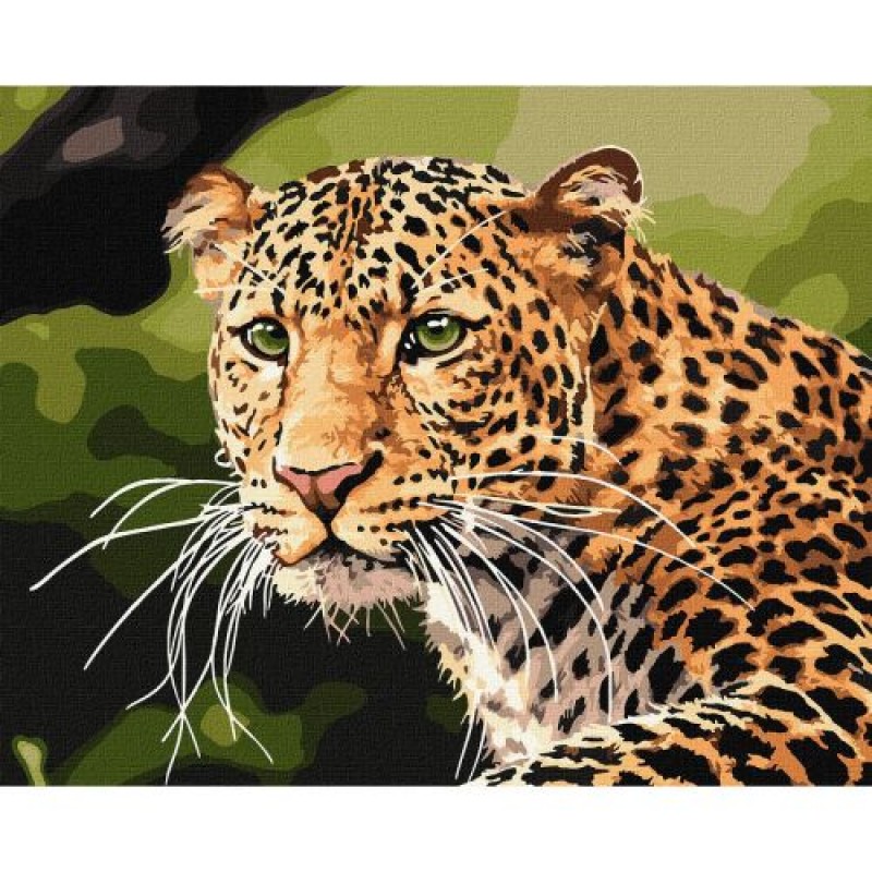 Картина за номерами "Зеленоокий леопард" ★★★ Комбінований Різнобарв'я (183144)