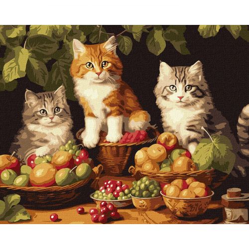 Картина за номерами "Котики і фрукти" 40х50 см Комбінований Різнобарв'я (237081)
