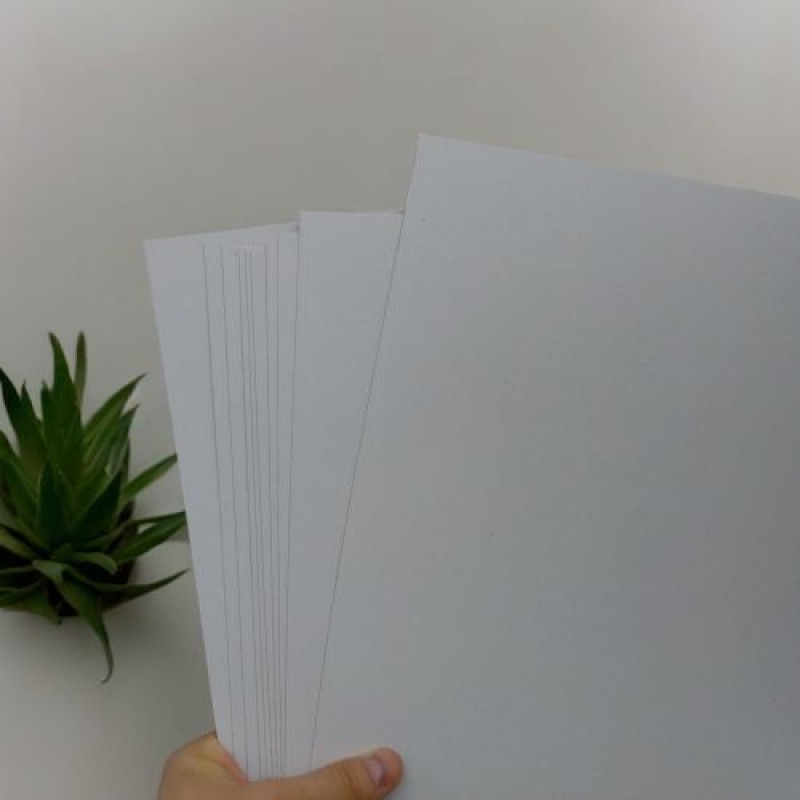 Набір білого картону, 10 аркушів (формат А3) Картон Різнобарв'я (240575)