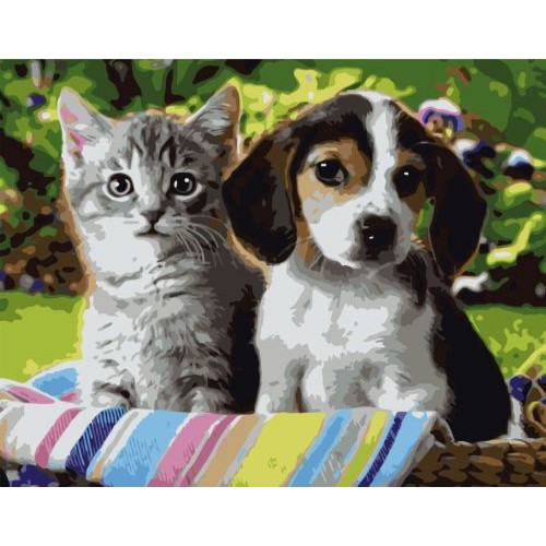 Картина по номерам "Котенок и щеночек" ★★★ VA-0288
