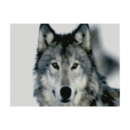 Алмазная мозаика "Красивый волк"