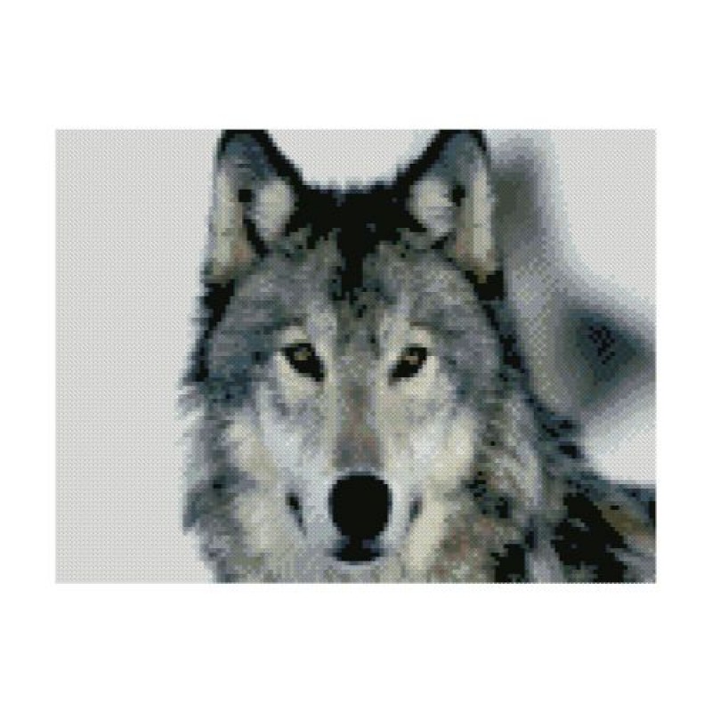 Алмазная мозаика "Красивый волк" HX349
