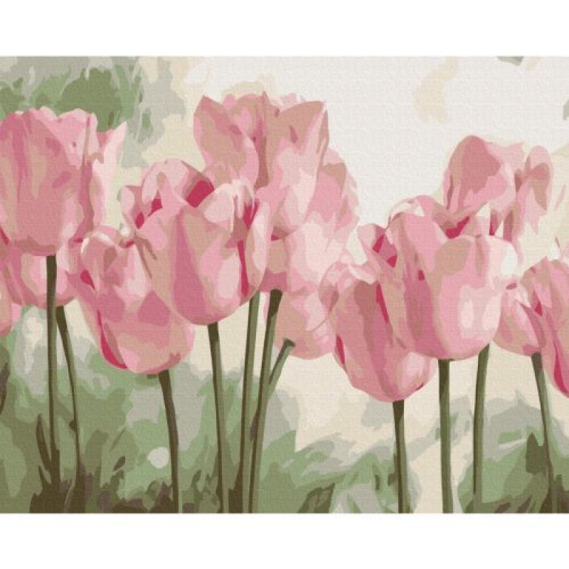 Картина за номерами "Ніжні тюльпани" ★★★ Комбінований Різнобарв'я (198040)