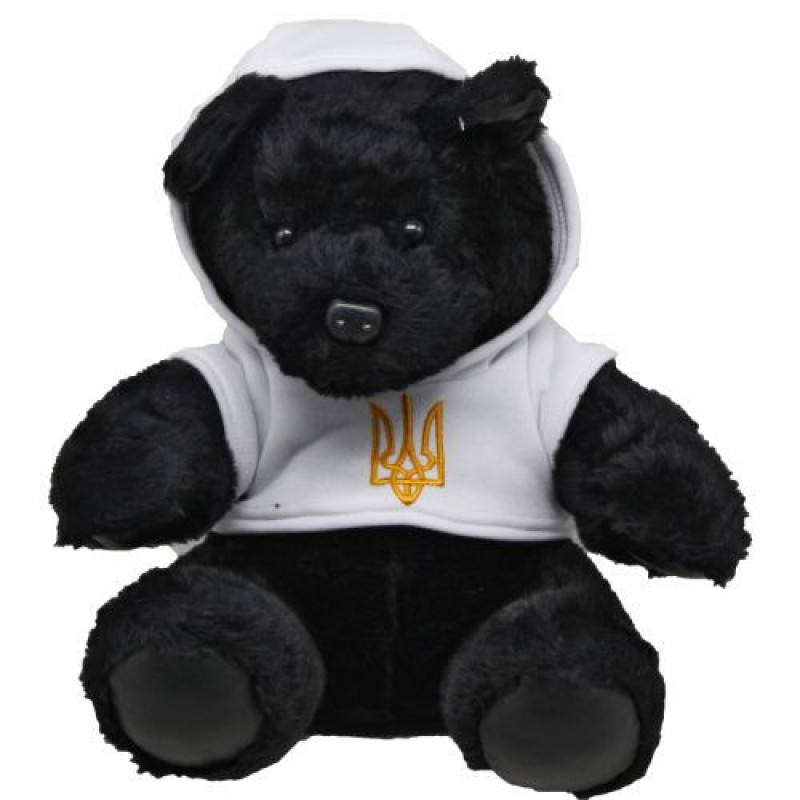 Мʼяка іграшка "Ведмідь Михасик", 31 см Комбінований Різнобарв'я (213400)