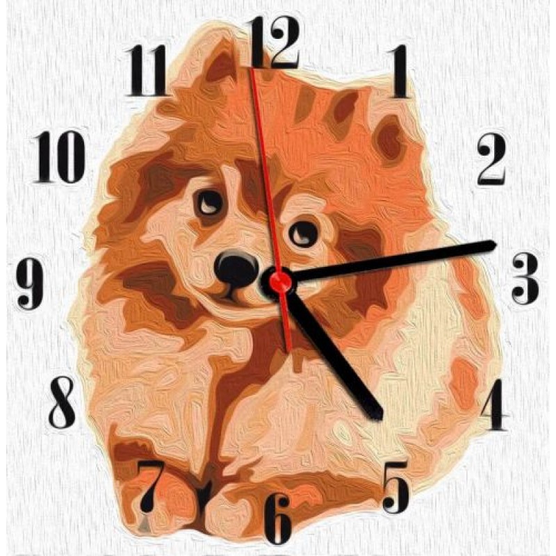 Годинник-картина за номерами "Шпіц", 30х30 см Комбінований Різнобарв'я (220406)