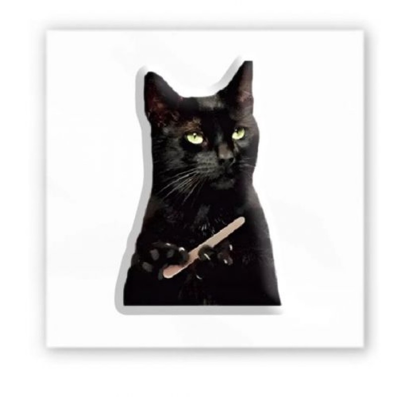 3D стікер "Мем: Чорний кіт" (ціна за 1 шт) Комбінований Різнобарв'я (238076)