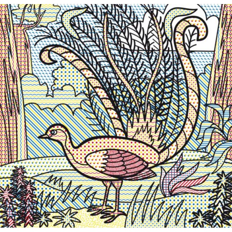 Водні розмальовки "Тварини Австралії" (укр) Папір Різнобарв'я (157485)
