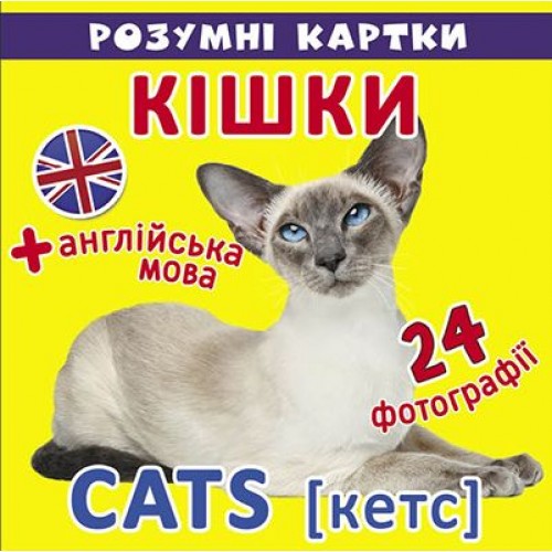 "Розумні картки. Кішки" Комбінований Різнобарвний (147643)