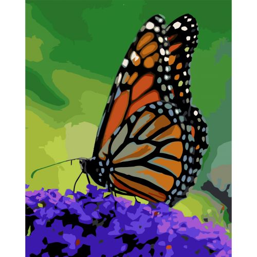 [0076] Картина по номерах 0076 ОРТ Помаранчевий метелик 40*50 (182772)