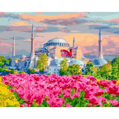 Картина за номерами "Стамбульські квітучі лани" ★★★ Комбінований Різнобарв'я (205336)
