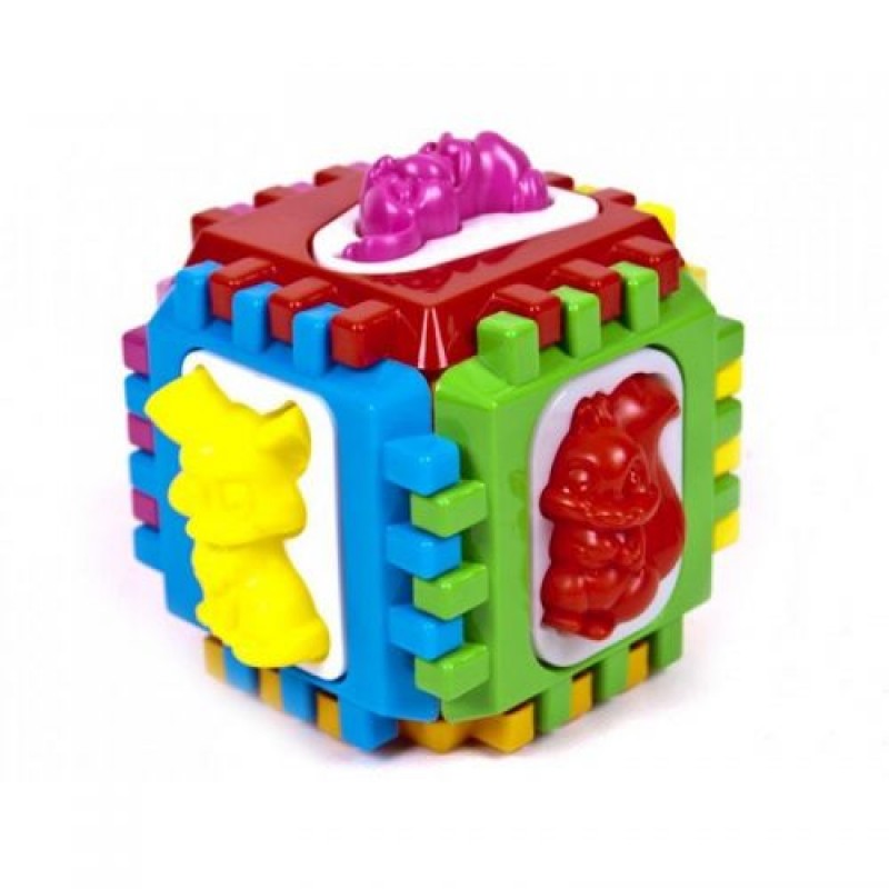 Логічний куб-сортер, з вкладишами Пластик Різнобарв'я (21987)