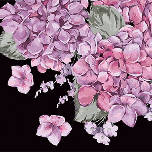 Картина за номерами на чорному фоні "Цвітіння гортензій", 40х40 см (243116)