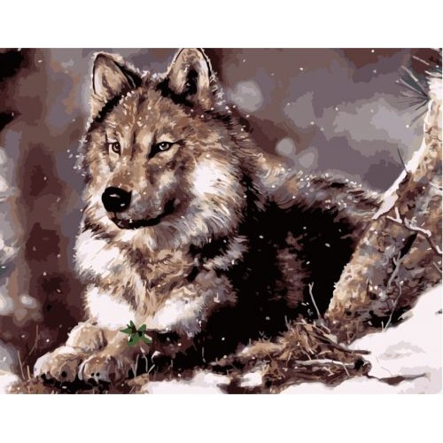 Картина по номерам "Волк" ★★★★ VA-0335