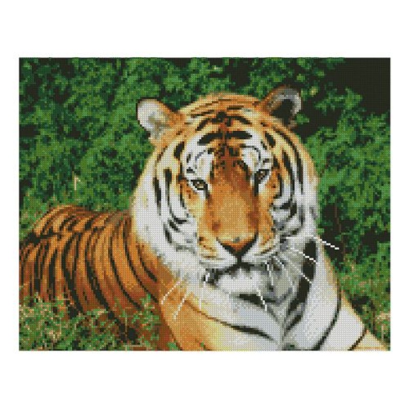 Алмазная мозаика "Взгляд тигра" FA10046