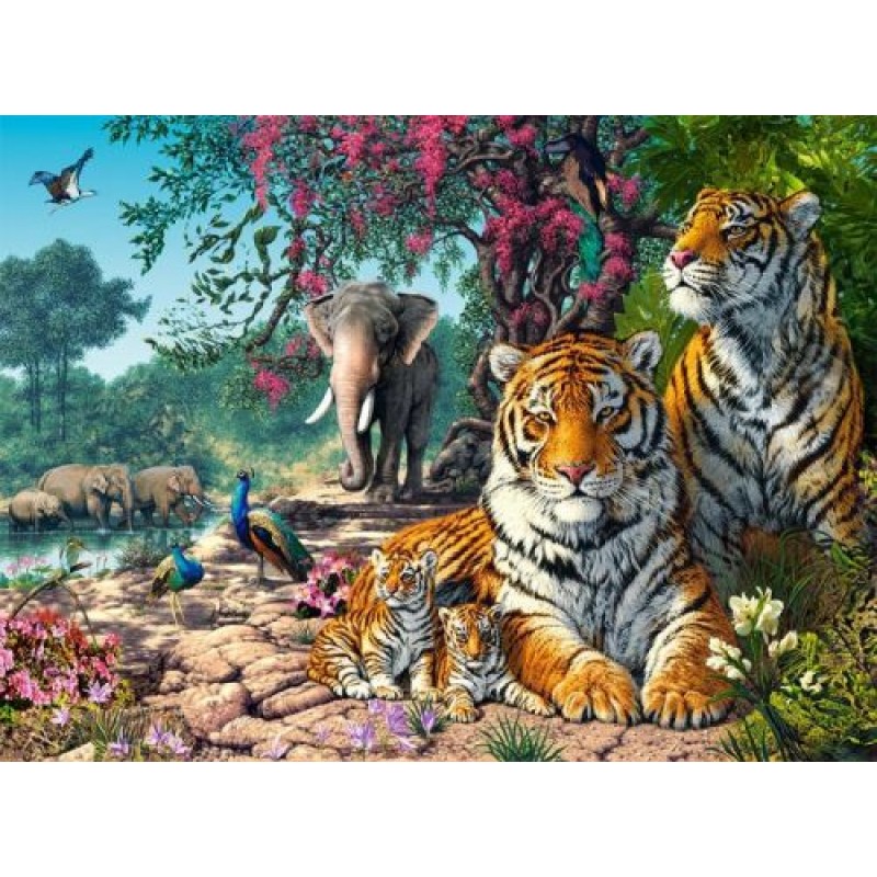 Пазли "Заповідник тигрів", 3000 елементів Комбінований Різнобарв'я (189704)