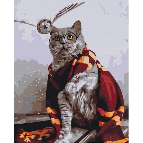 Картина за номерами "Котик ловець снітча" ★★★★ Комбінований Різнобарв'я (191229)