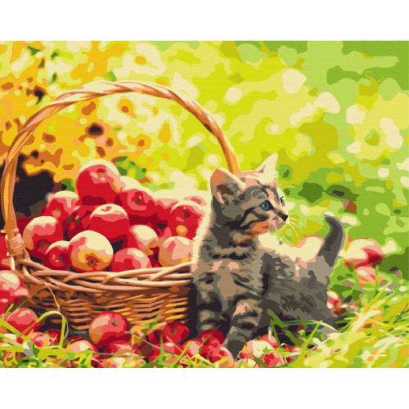 Картина за номерами "Яблучний котик" ★★★ Комбінований Різнобарв'я (203557)