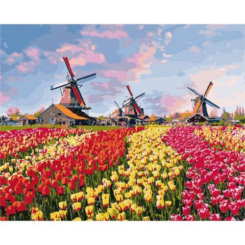 Картина по номерам "Красочные тюльпаны Голландии" ★★★★