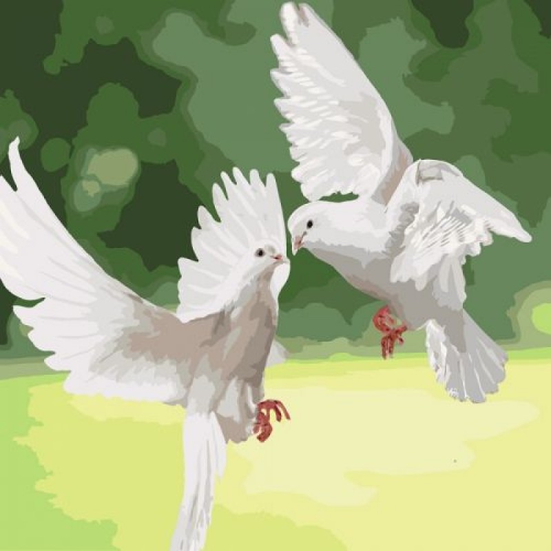 Картина за номерами "Білосніжні голуби" ★★★ Комбінований Білий (124882)