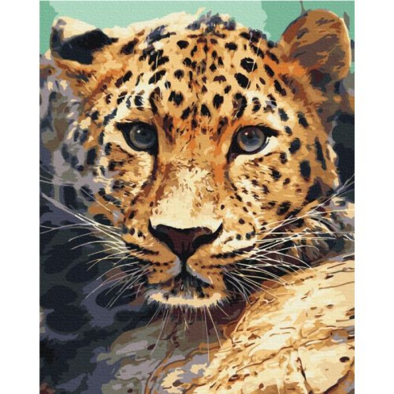 Картина за номерами "Портрет леопарда" ★★★ Комбінований Різнобарв'я (196645)