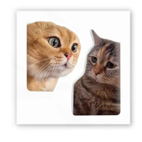 3D стікер "Мем: Коти" (ціна за 1 шт) Комбінований Різнобарв'я (238070)