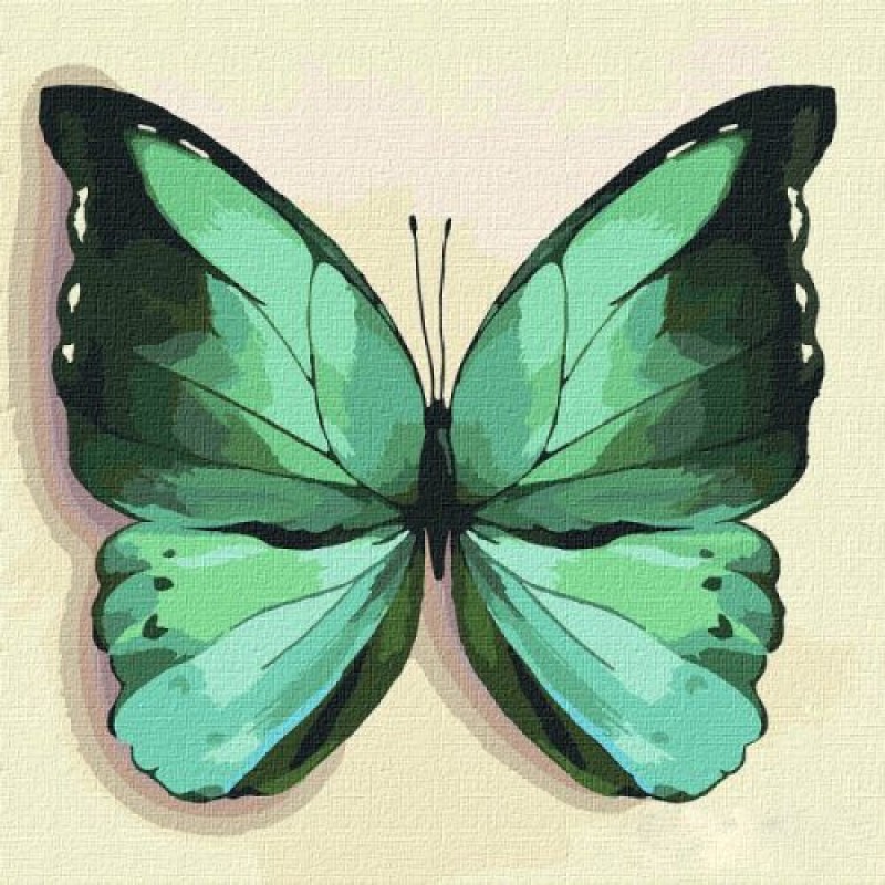 Картина по номерам "Зелёная бабочка" ★★★