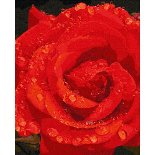 Картина за номерами "Троянда в діамантах" ★★★★★ Комбінований Різнобарв'я (194397)